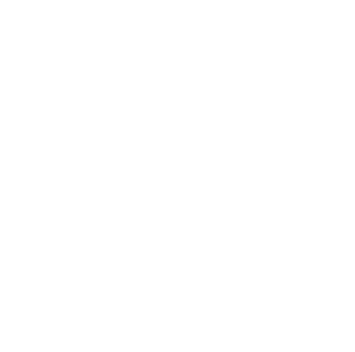 Valley Animal Hospital FooterLogo