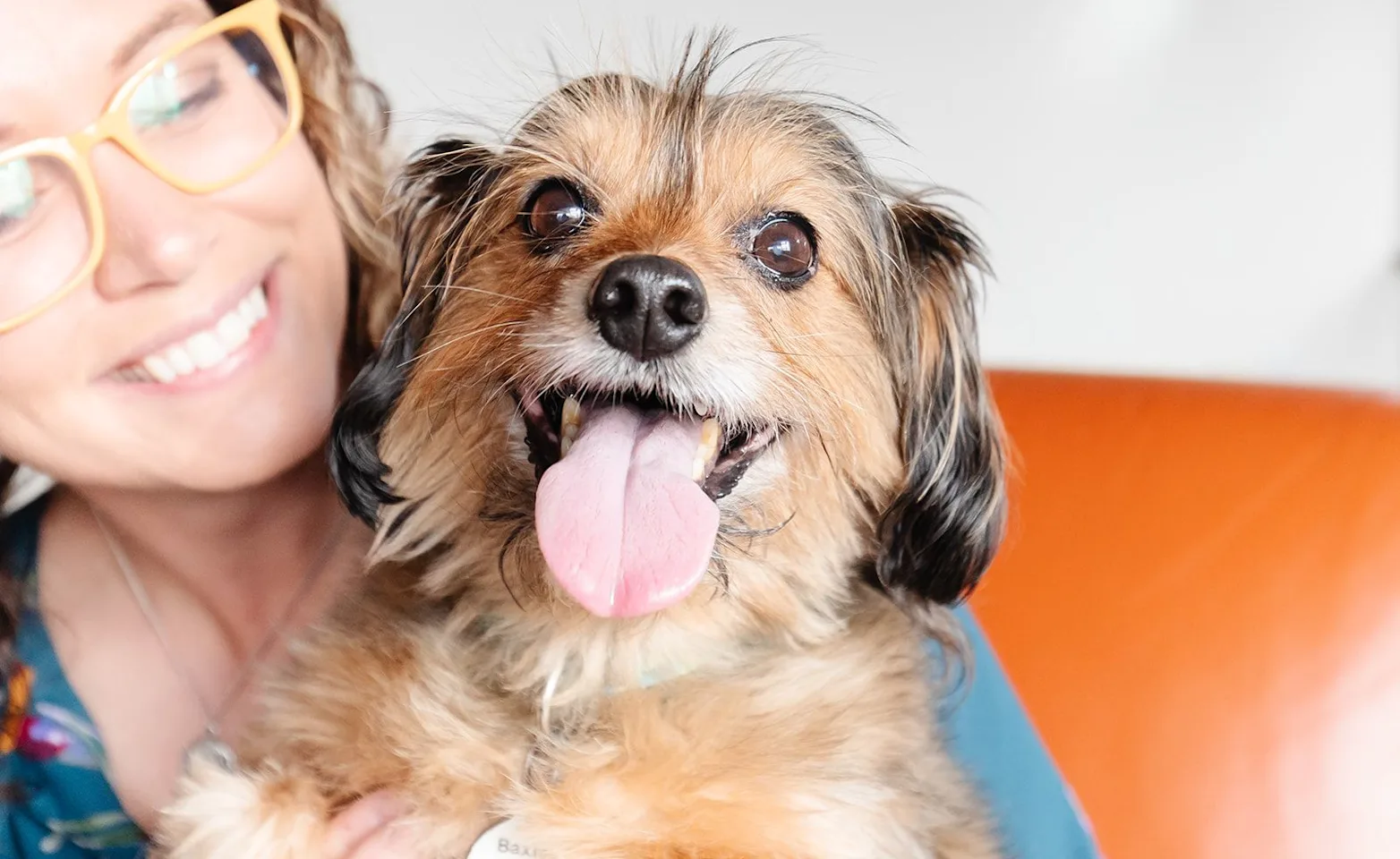 Smiling woman holding up a dog with it's tongue out Smiling woman holding up a dog with it's tongue out