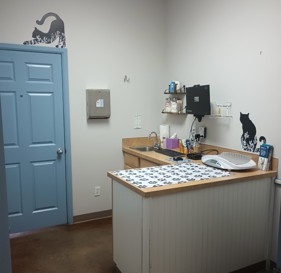 Updated exam room with examination table 