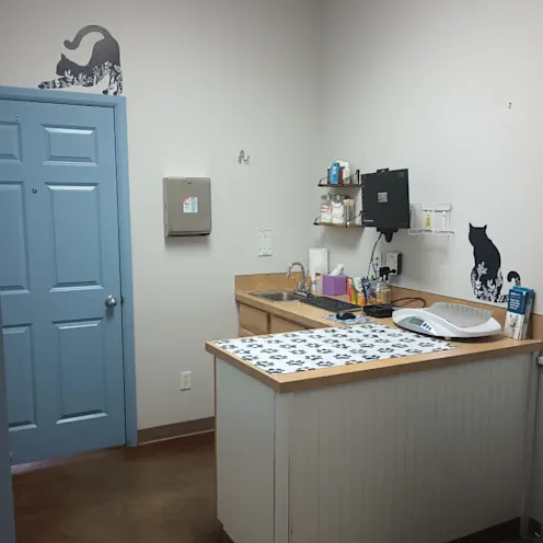 Updated exam room with examination table Updated exam room with examination table