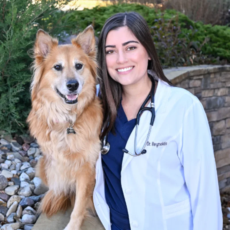 A veterinarian posing with a brown dog A veterinarian posing with a brown dog