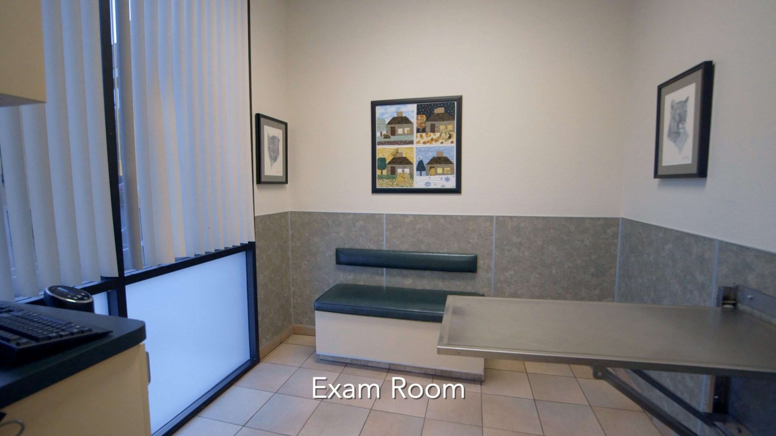 Exam Room at Mt. Diablo Veterinary Medical Center