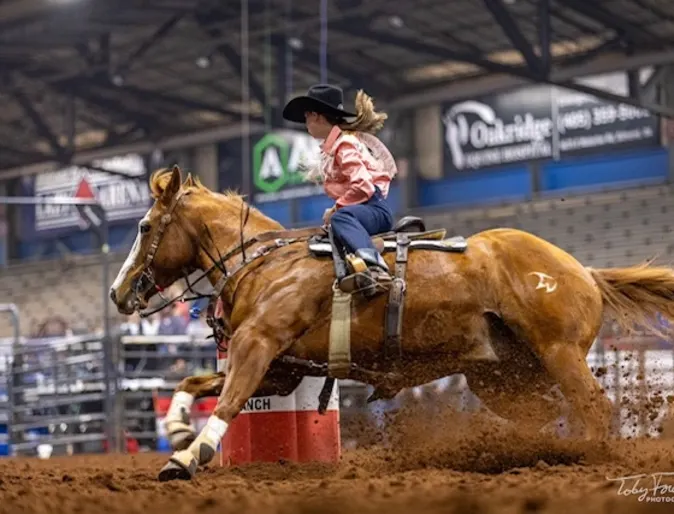 Woman riding a brown horse. Woman riding a brown horse.