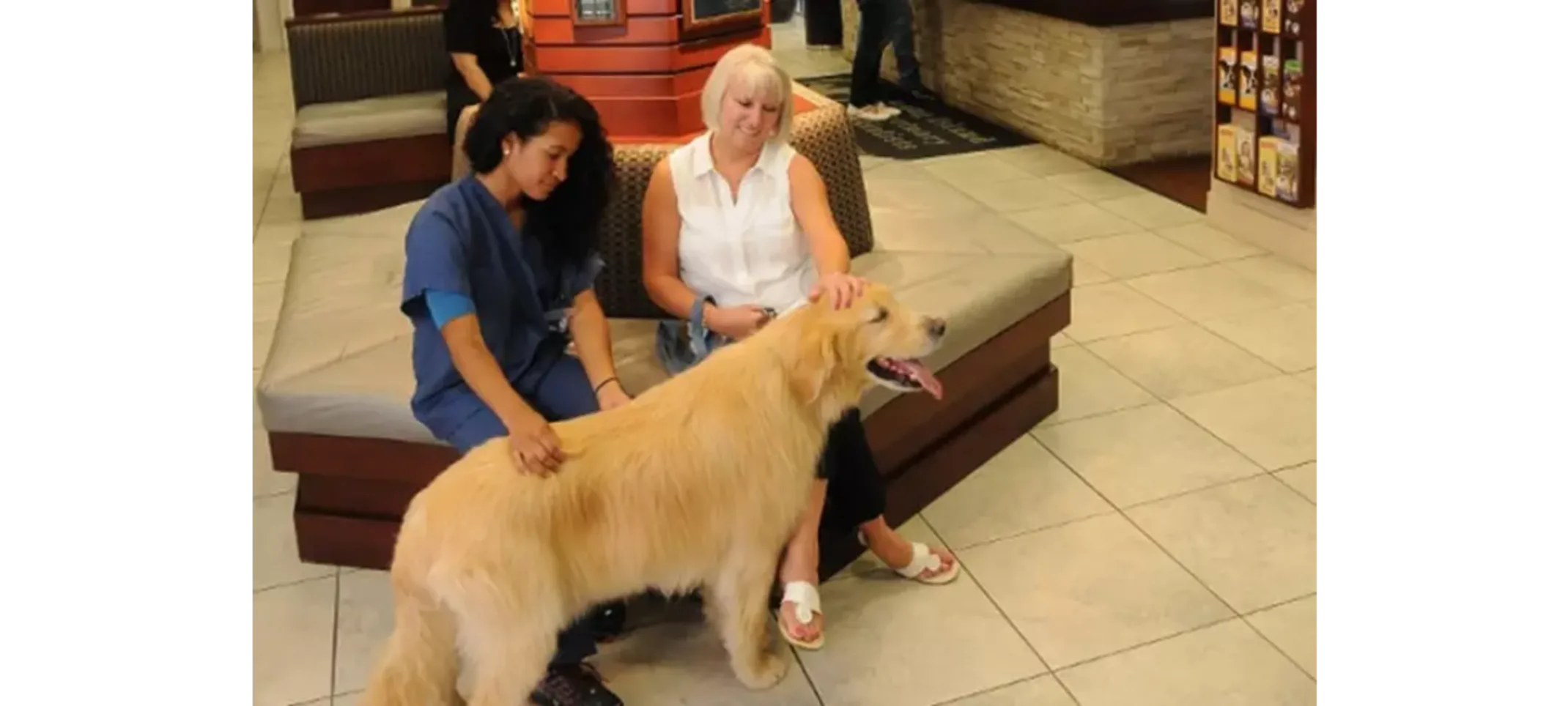 Compassionate Client Care Dog being pet by veterinarian and client