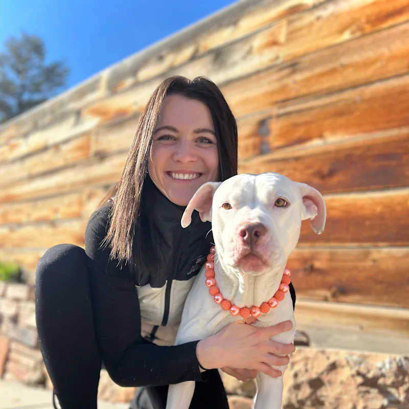 Dr. Brynne Udy Dr. Brynne Udy