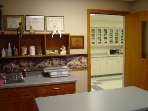 Small Animal Hospital Exam Room