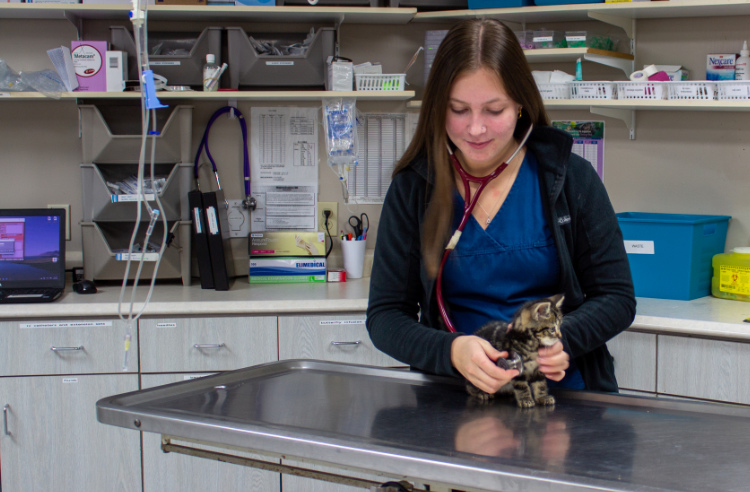 Our Veterinarians in Summerside, PE | Summerside Animal Hospital