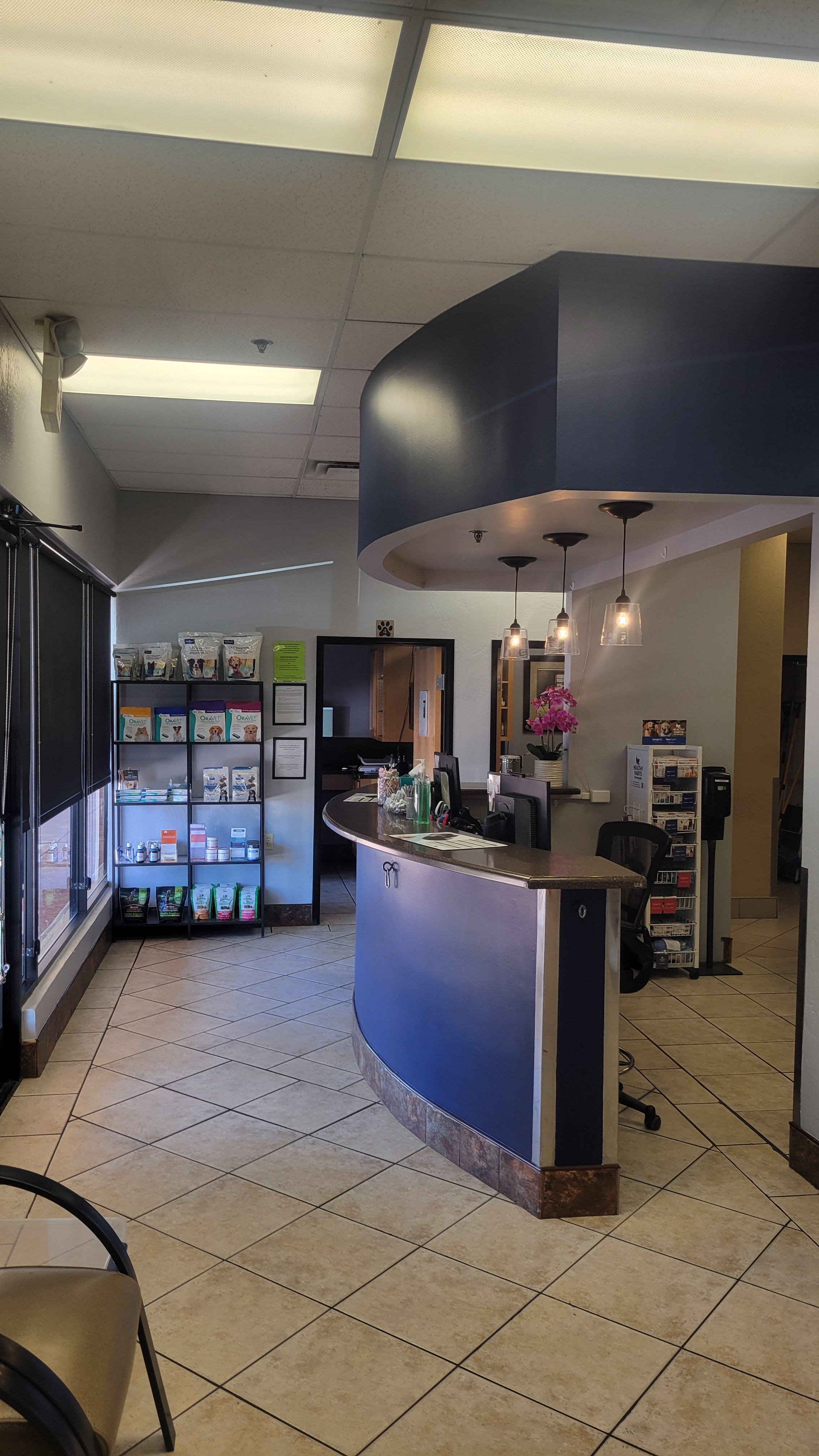 The front desk at Pinnacle Peak Animal Hospital lobby