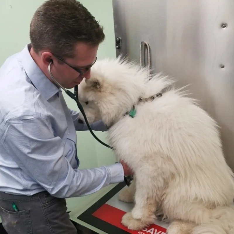 Dr. Brian Dening Dr. Brian Dening