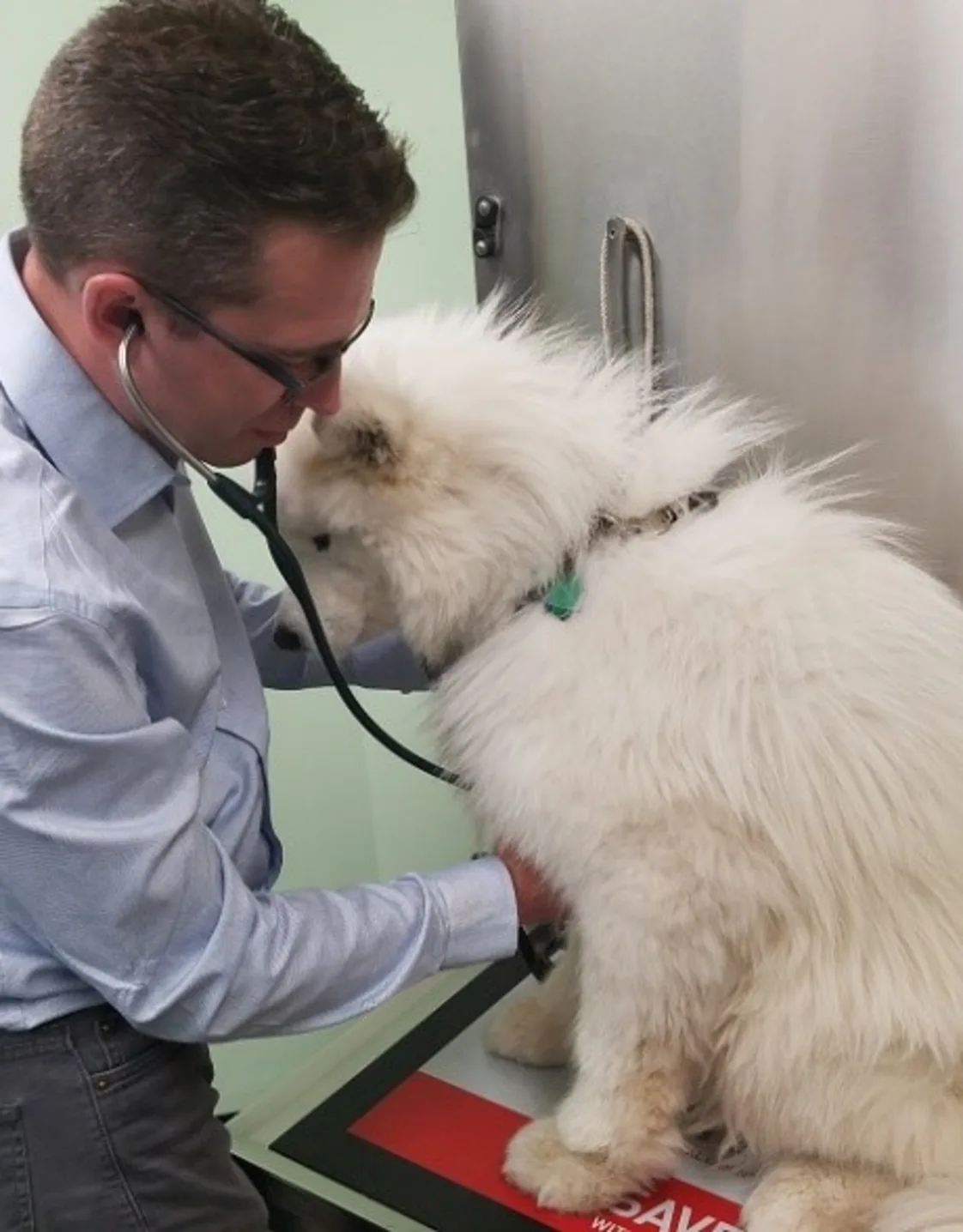 Dr. Brian Dening Dr. Brian Dening