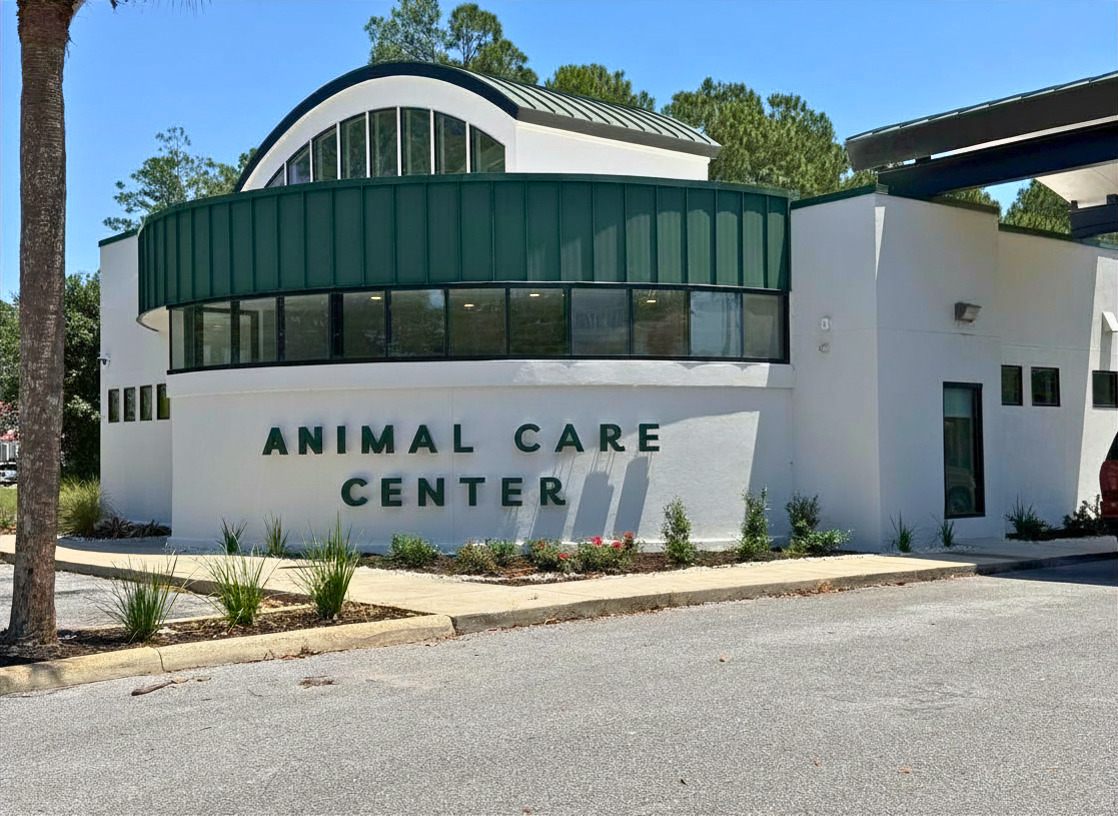 Exterior view of Animal Care Center of Panama City Beach's building.