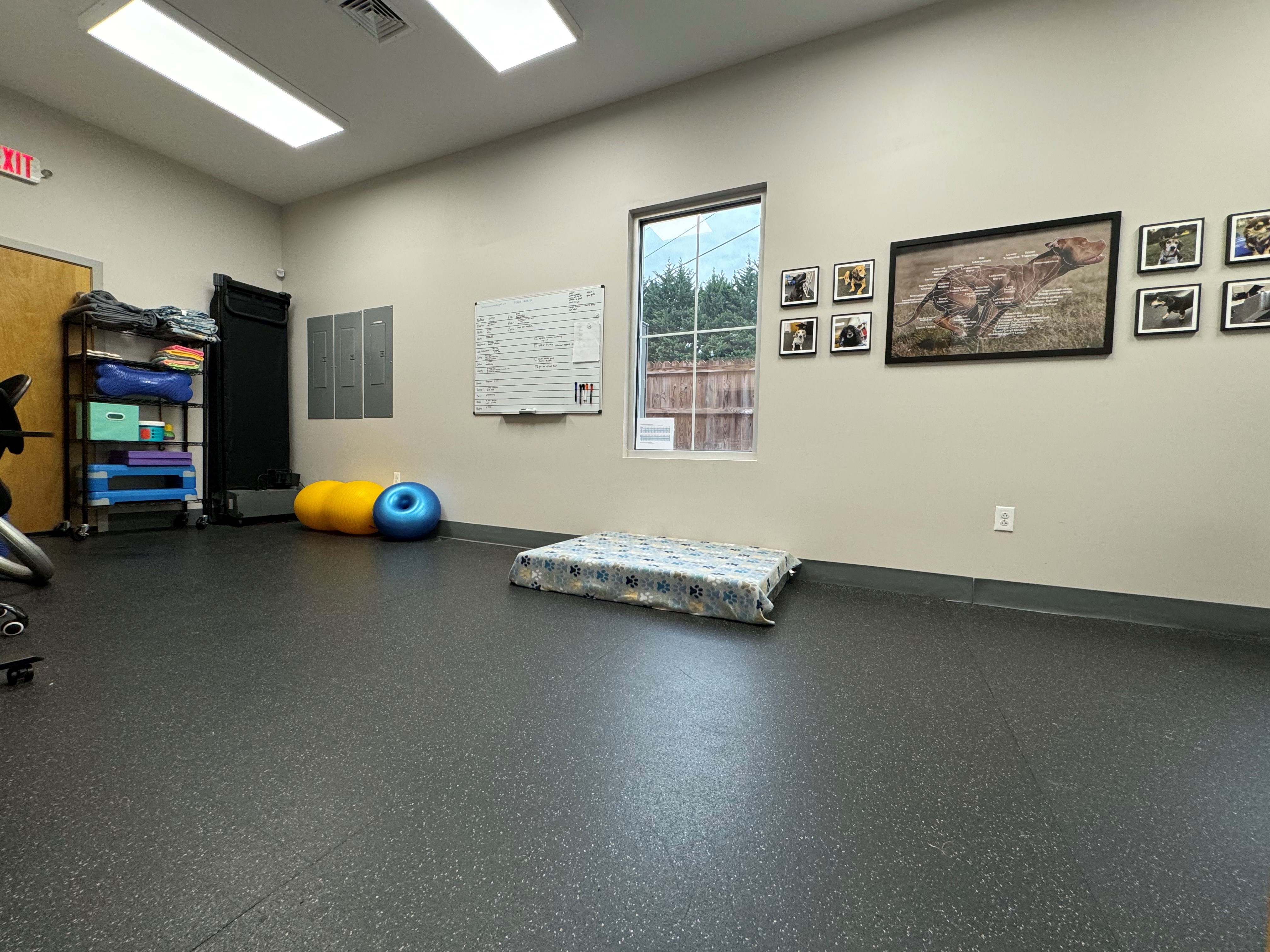 Large rehab room