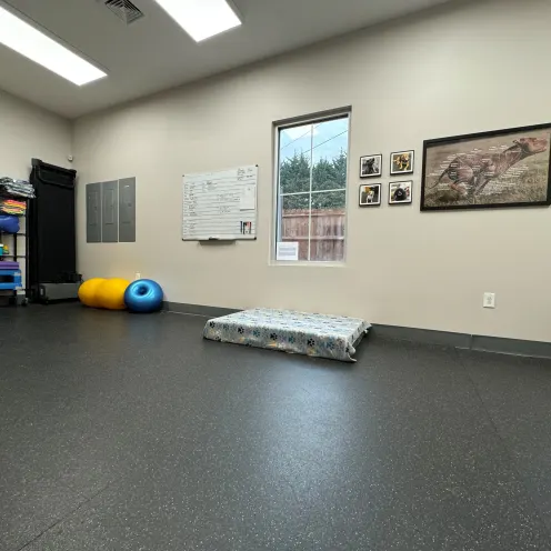 Large rehab room