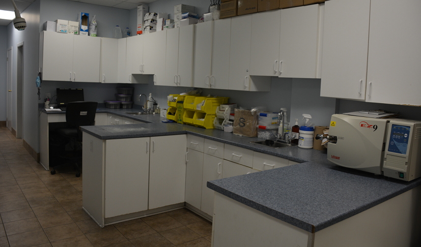 Procedures and Treatment Area