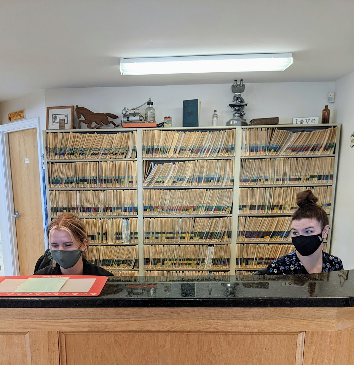 Two staff members working at the front desk at Henniker Veterinary Hospital