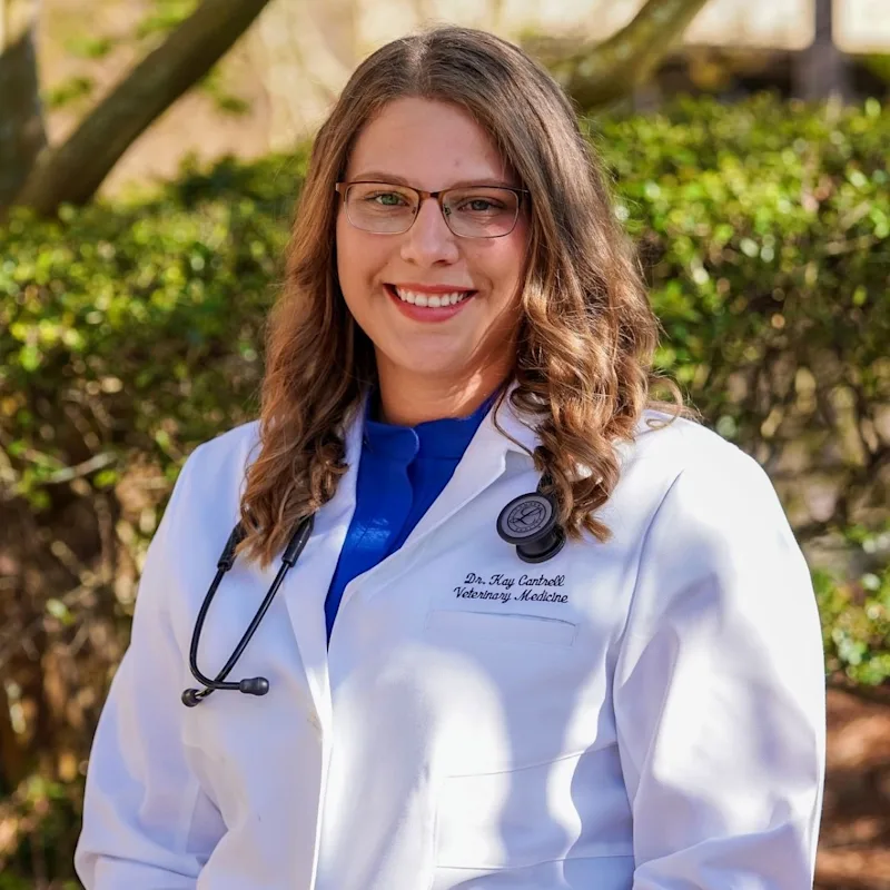 Dr. Kaylynn Cantrell Dr. Kaylynn Cantrell