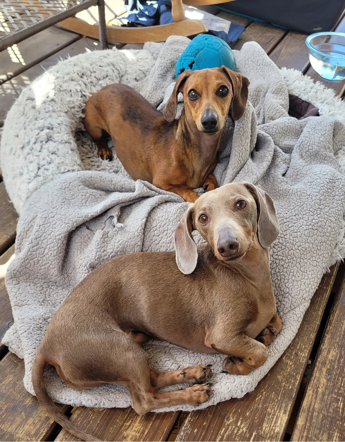 Brie Dawson Brie Dawson