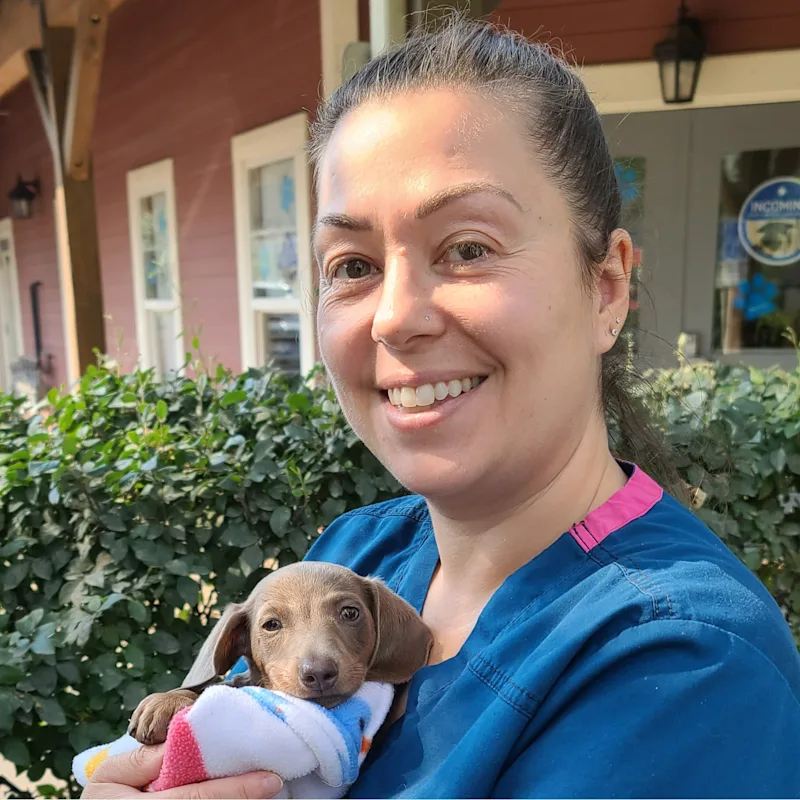 Brie Dawson Brie Dawson