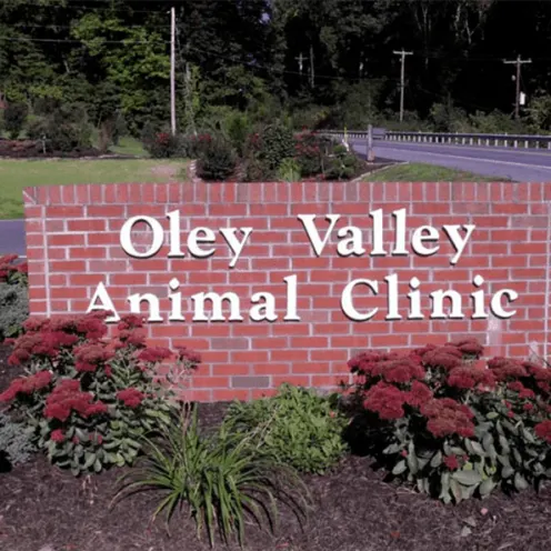 Welcome to Oley Valley Animal Clinic
