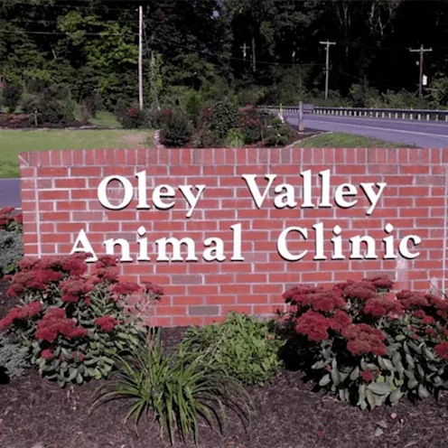 Welcome to Oley Valley Animal Clinic Welcome to Oley Valley Animal Clinic