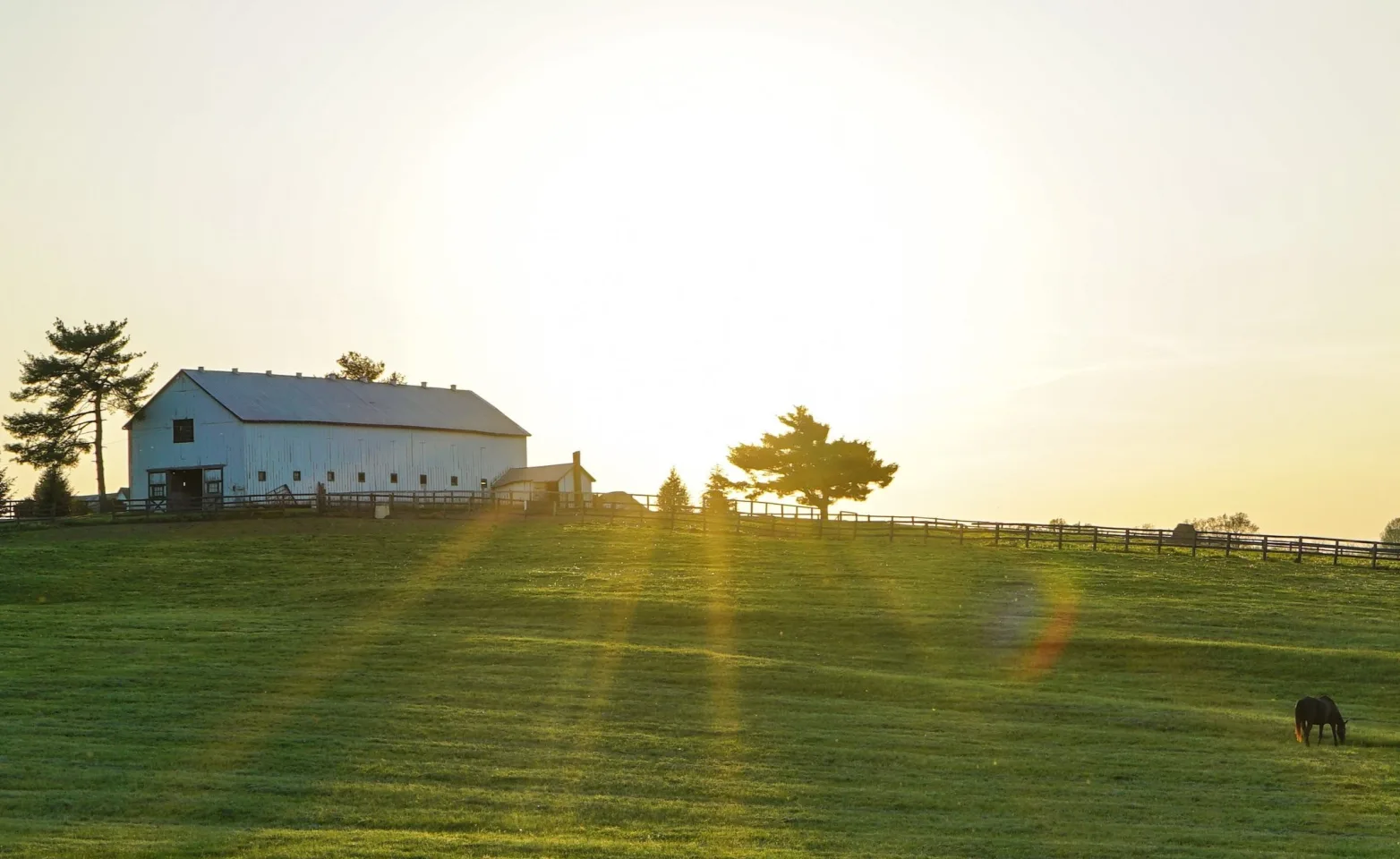 White barn on a grassy hill at sunset