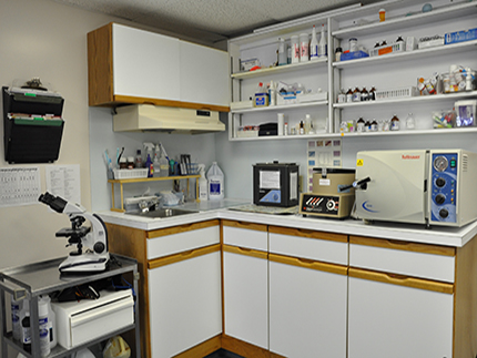 Laboratory area at Conrad Weiser Animal Hospital.