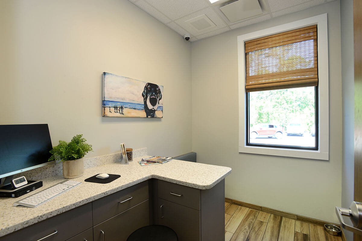 Canine Exam Room