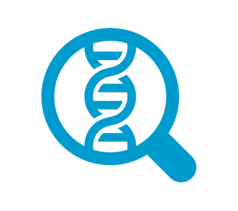 Blue icon of a magnifying glass enlarging a DNA strand Blue icon of a magnifying glass enlarging a DNA strand