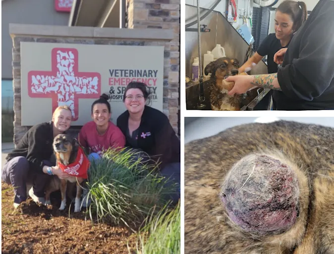 Keiko in her recovery journey. Keiko in her recovery journey.