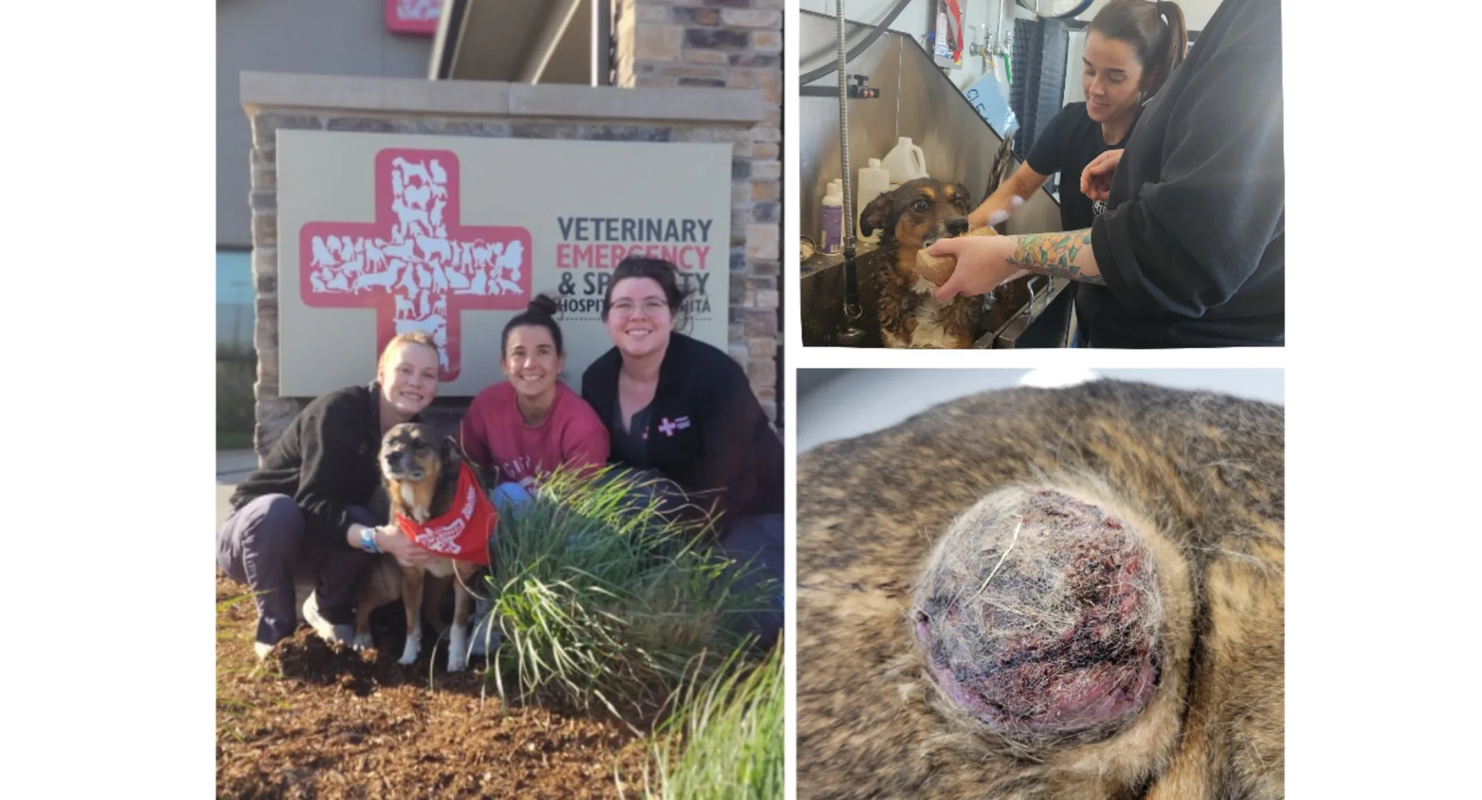 Keiko in her recovery journey. Keiko in her recovery journey.