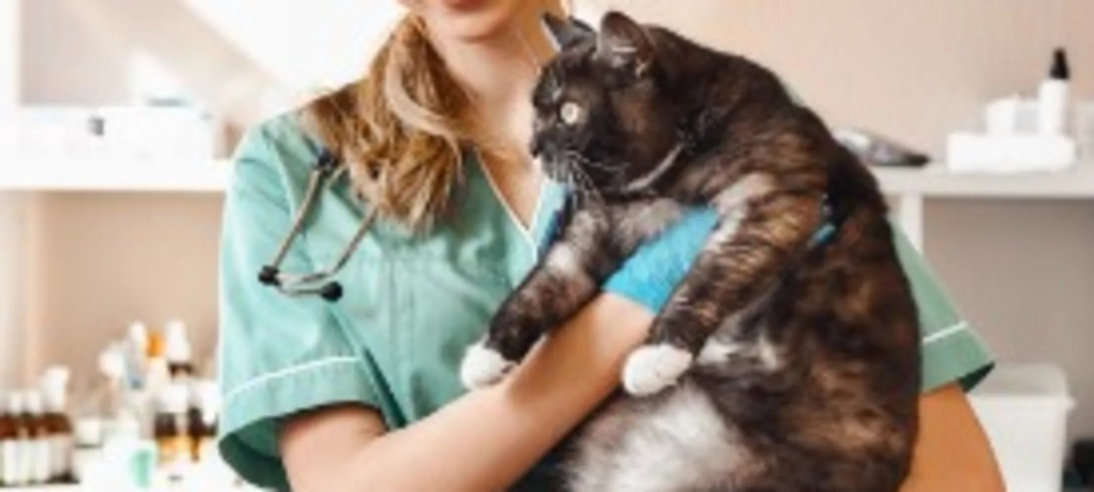 Lily Rammond at Big Cow Animal Hospital Lily Rammond at Big Cow Animal Hospital