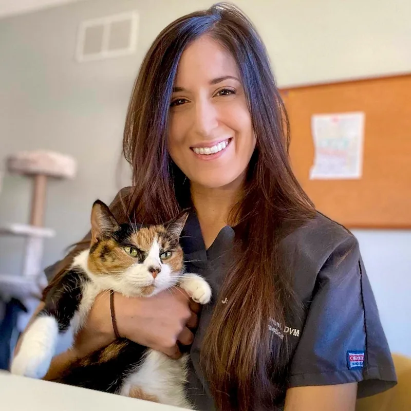 Jacqueline Pieroni, DVM Jacqueline Pieroni, DVM