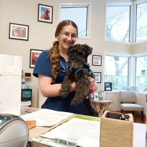 Holding dog Holding dog