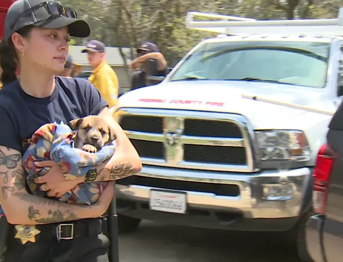 A puppy fell 70 feet into well—Abby Pet Hospital helped save her life A puppy fell 70 feet into well—Abby Pet Hospital helped save her life