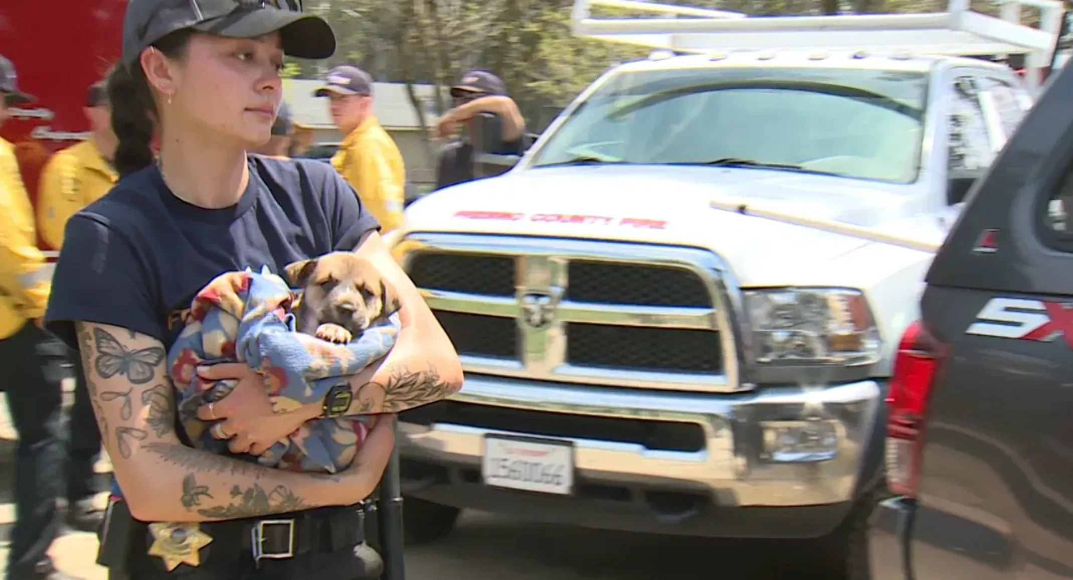 A puppy fell 70 feet into well—Abby Pet Hospital helped save her life A puppy fell 70 feet into well—Abby Pet Hospital helped save her life