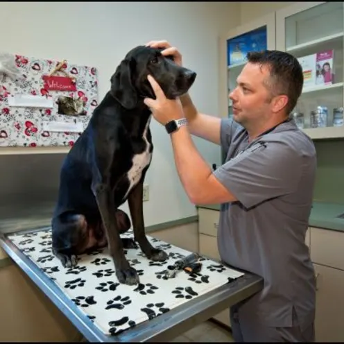 Waterford Lakes Animal Hospital staff with patient