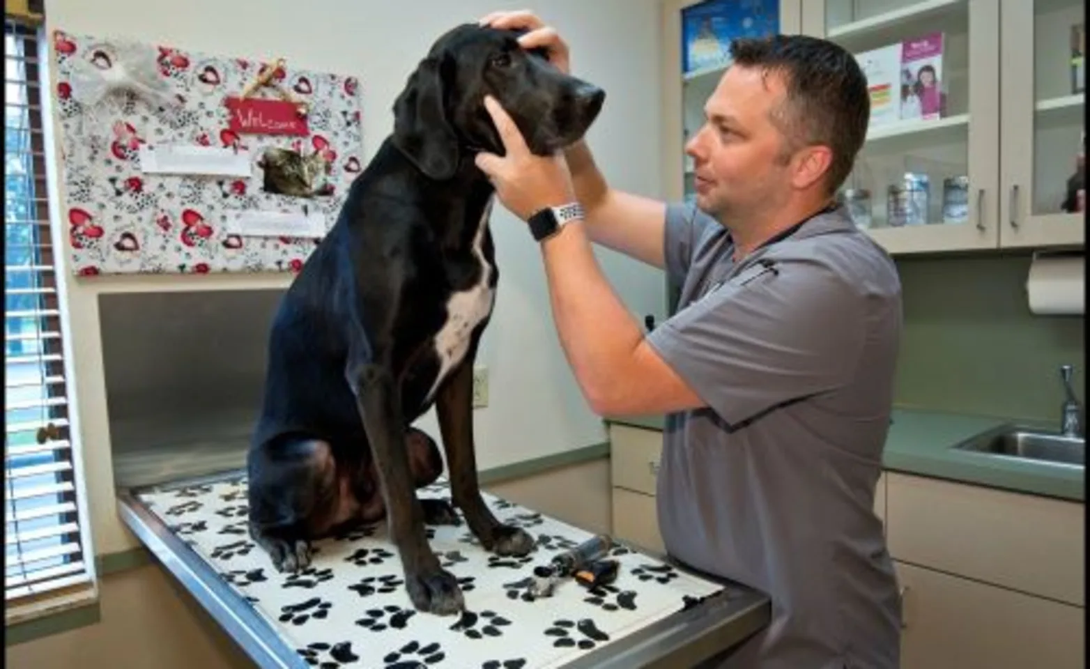 Waterford Lakes Animal Hospital staff with patient Waterford Lakes Animal Hospital staff with patient
