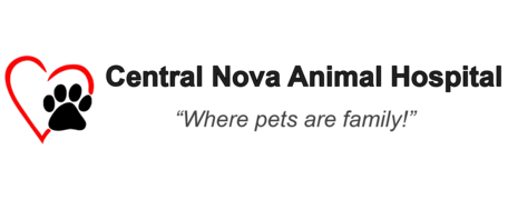 Central Nova Animal Hospital Logo Central Nova Animal Hospital Logo