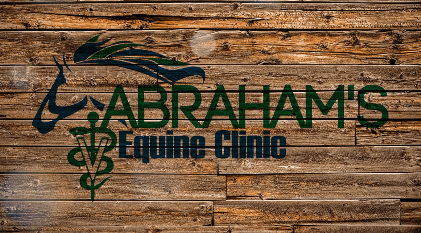 Abraham's Equine Clinic 1276 - Gallery
