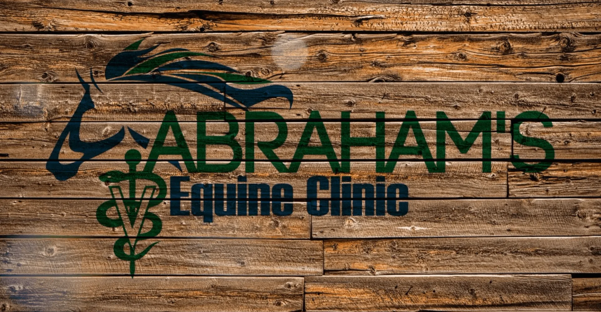 Abraham's Equine Clinic 1276 - Gallery