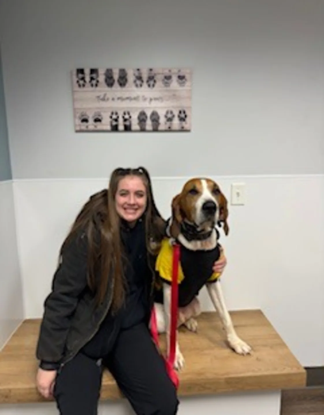 A line drawing of a puppy A line drawing of a puppy