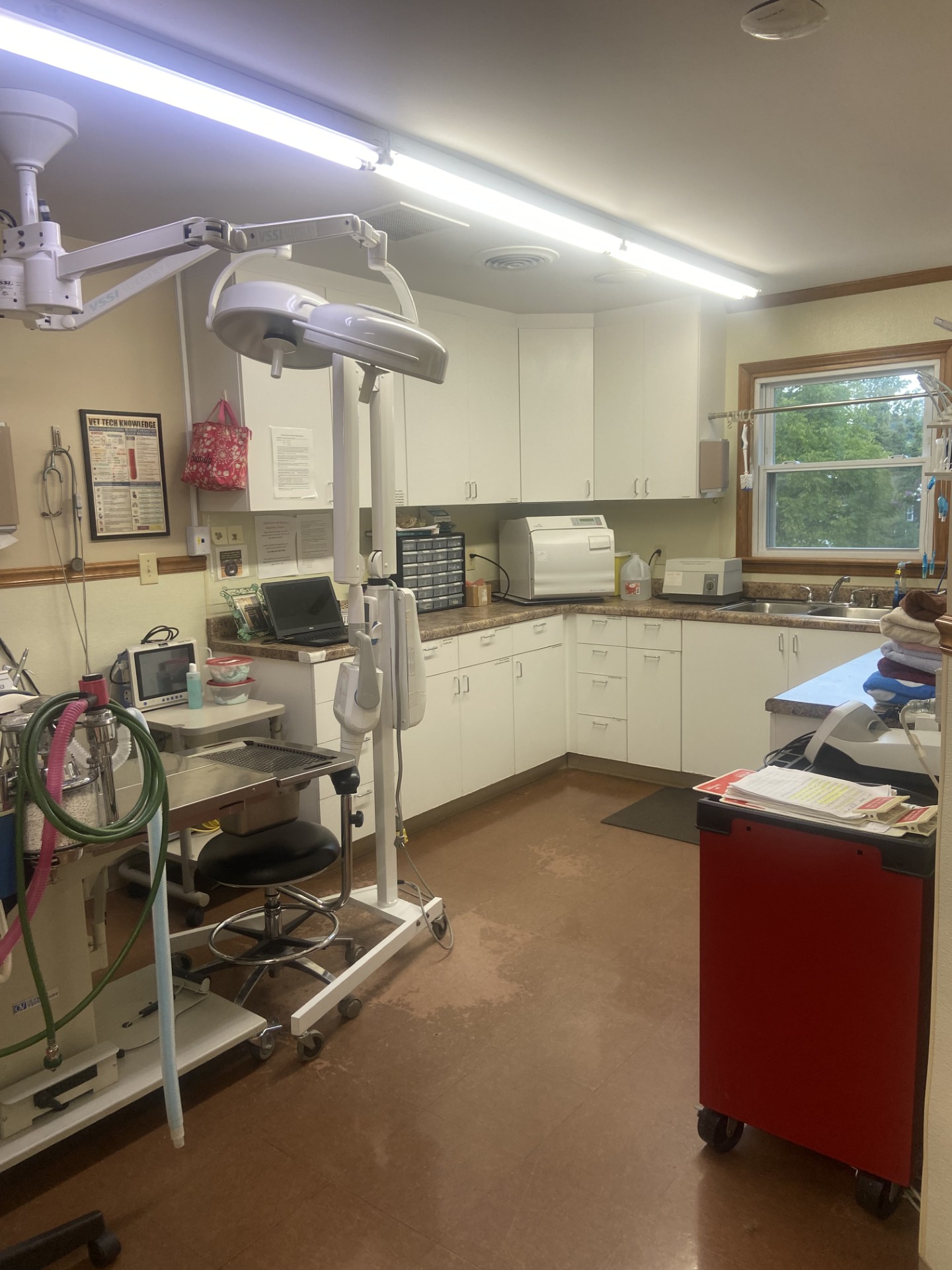Treatment Area at King's Mountain Animal Clinic