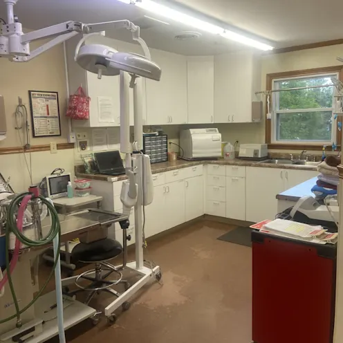 Treatment Area at King's Mountain Animal Clinic Treatment Area at King's Mountain Animal Clinic