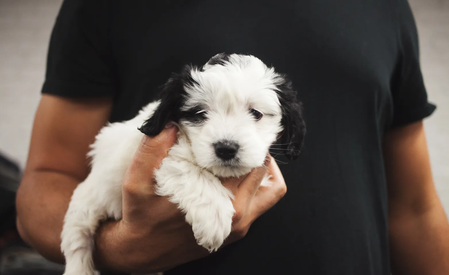 man holding puppy in his arm man holding puppy in his arm