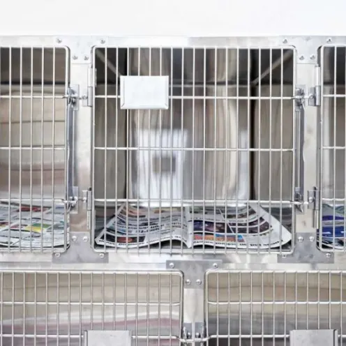 Pet Cages with Newspaper at Sherwood Veterinary Clinic