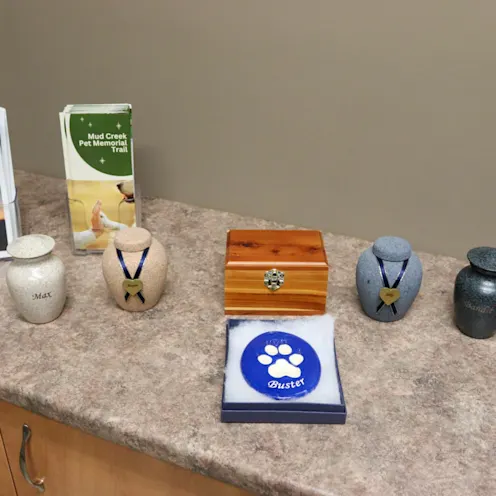 Comfort Room Comfort Room