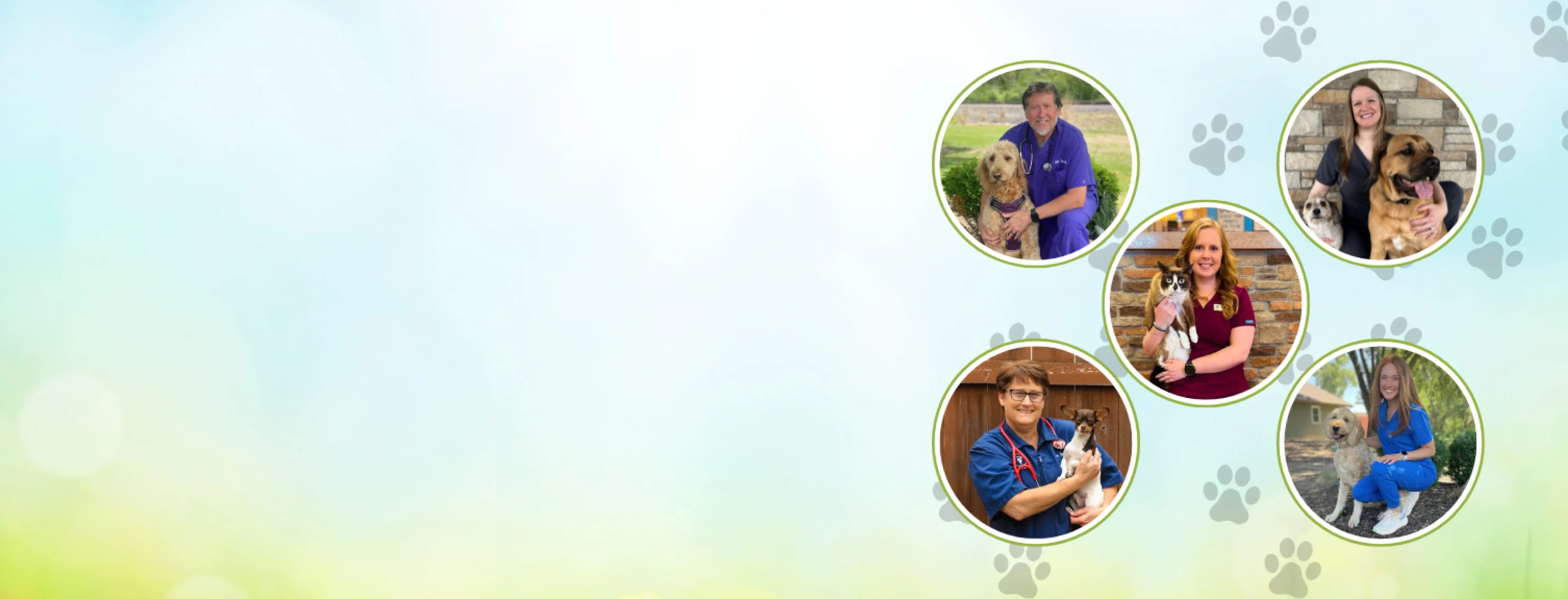 Our DVMs at Heartland Animal Hospital Our DVMs at Heartland Animal Hospital