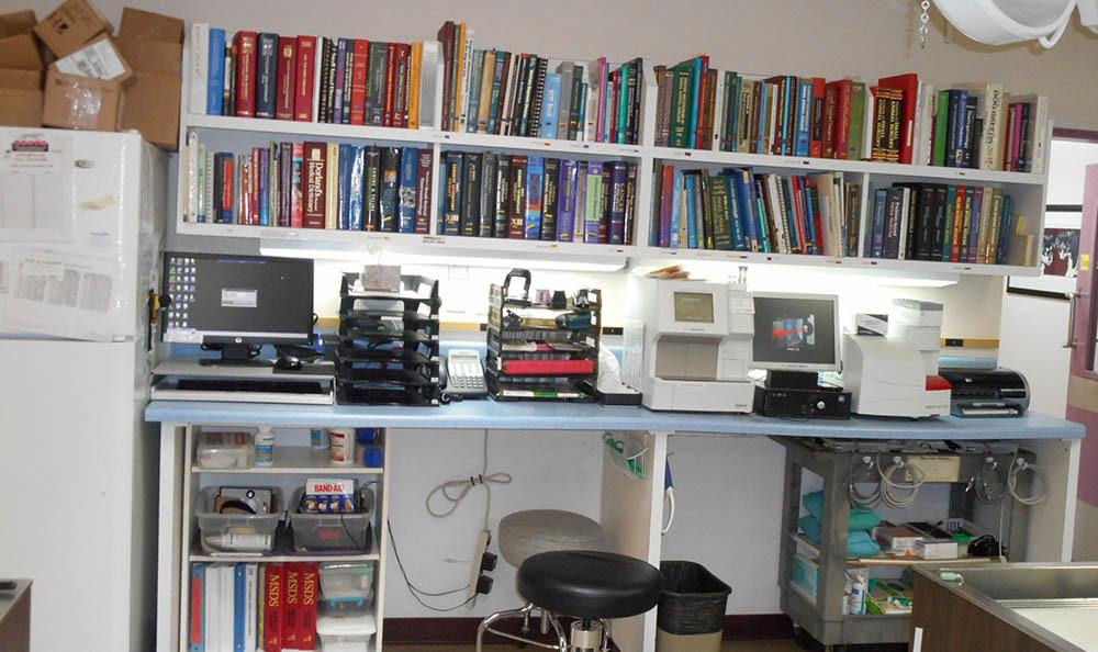 Manzano Animal Clinic