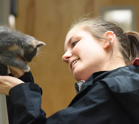 Wellness & Preventive Care at Animal Medical Center of Hattiesburg. Wellness & Preventive Care at Animal Medical Center of Hattiesburg.