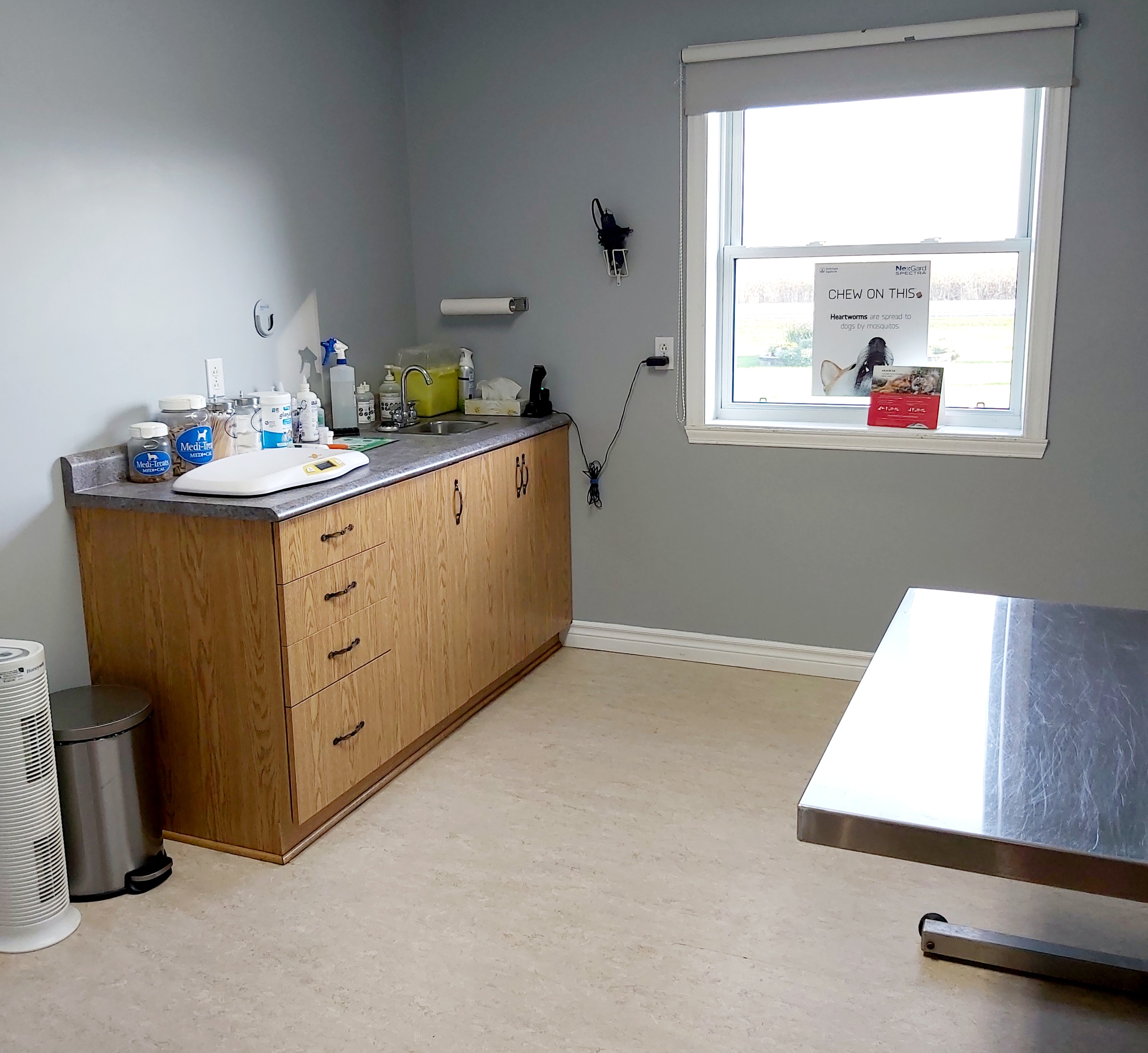 View of an exam room at Williamstown Veterinary Services